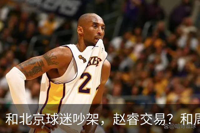 和北京球迷吵架，赵睿交易？和周琦互动，谁注意他表态，去向曝光